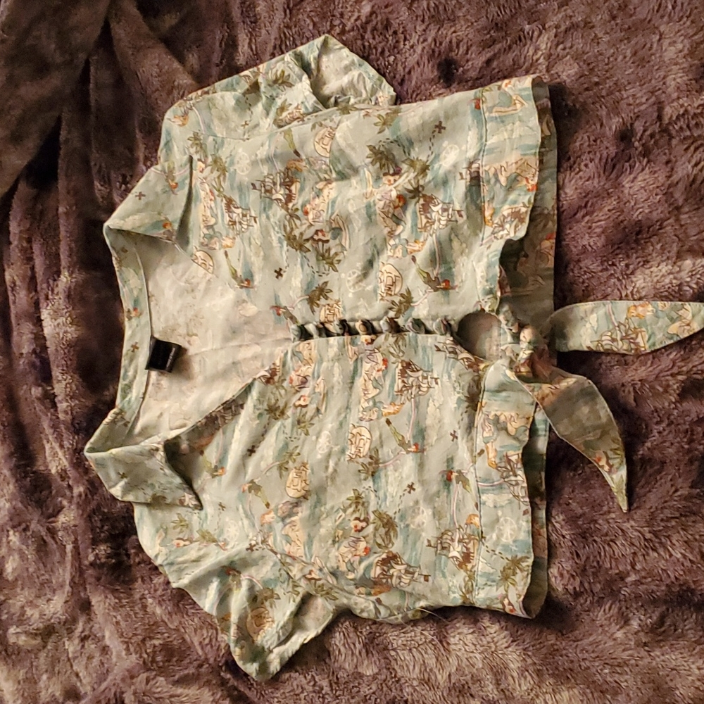 Disney Peter Pan Crop Top